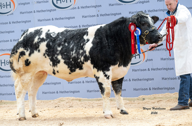 Crackley Bank Ubelter Res Fem Champ 10,000gns